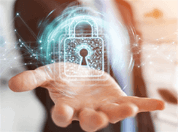 Information Technology Consulting