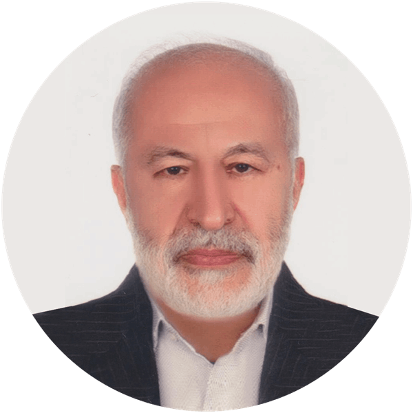 محمدحسین ذوالفقاری